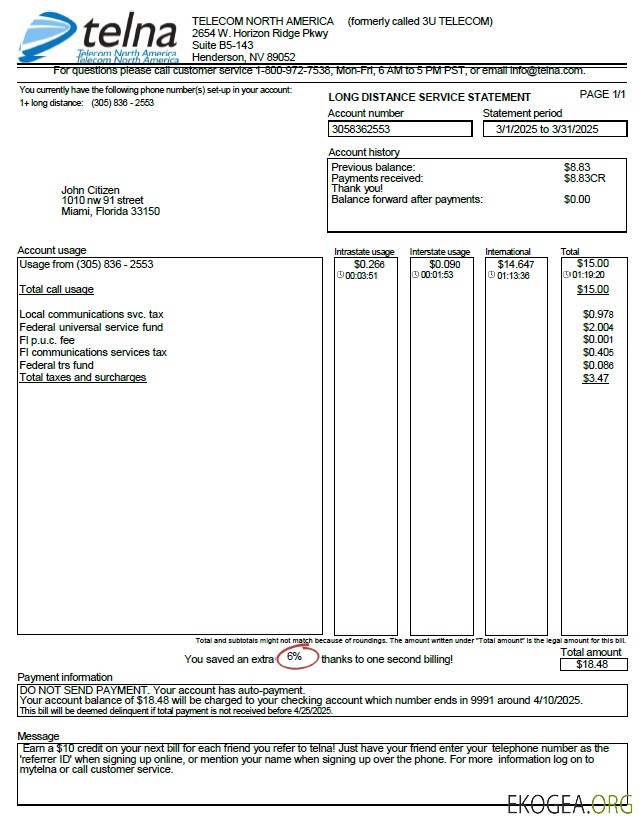USA Telna utility bill template in Word and PDF formats